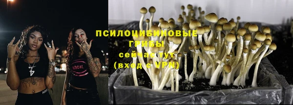 гидра Белоозёрский