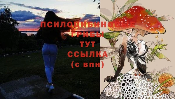 гидра Белоозёрский