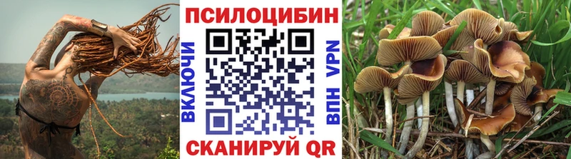 Псилоцибиновые грибы Psilocybe  Купить  Алушта 